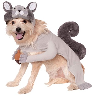 Rubies Squirrel Pet Costume for Dogs or Cats XL