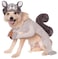 Rubies Squirrel Pet Costume for Dogs or Cats XL