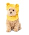 Rubies Disney Winnie the Pooh Pet Costume Accessory Set for For Dogs or Cats by SM