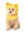 Rubies Disney Winnie the Pooh Pet Costume Accessory Set for For Dogs or Cats by SM