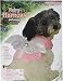 Forum Novelties FairyAngel Harness Pet Costume Medium Multicolor