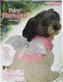 Forum Novelties FairyAngel Harness Pet Costume Medium Multicolor