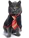 Coomour Cat Halloween Costume Anime Pet Clothes for Small Dog Kitten Costume Wizard Accessories Outfits S Red