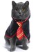 Coomour Cat Halloween Costume Anime Pet Clothes for Small Dog Kitten Costume Wizard Accessories Outfits S Red