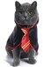 Coomour Cat Halloween Costume Anime Pet Clothes for Small Dog Kitten Costume Wizard Accessories Outfits S Red