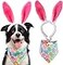 BoomBone Dog Easter Costume and Egg Dog Bandana