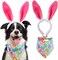 BoomBone Dog Easter Costume and Egg Dog Bandana