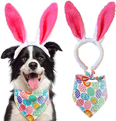 BoomBone Dog Easter Costume and Egg Dog Bandana