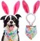 BoomBone Dog Easter Costume and Egg Dog Bandana