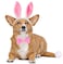 BoomBone Dog Bunny Costume SetPet Rabbit Ears Headband Tail and Cat Bowtie Collar