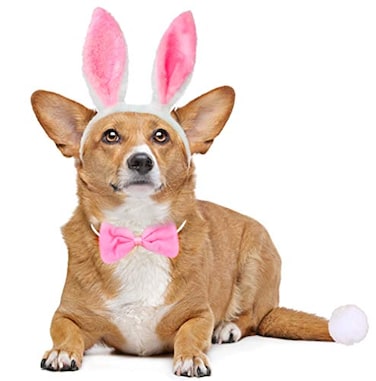 BoomBone Dog Bunny Costume SetPet Rabbit Ears Headband Tail and Cat Bowtie Collar