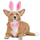 BoomBone Dog Bunny Costume SetPet Rabbit Ears Headband Tail and Cat Bowtie Collar