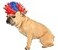 Rubies Costume Halloween Classics Collection Pet Costume Small to Medium Red and Blue Mohawk Wig