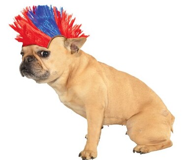 Rubies Costume Halloween Classics Collection Pet Costume Small to Medium Red and Blue Mohawk Wig