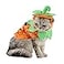 ANIAC Pet Pumpkin Costume Cat Halloween Hat Cloak Sets Puppy Poncho Dog Halloween Cosplay for Kitty Small Medium Sized Dog