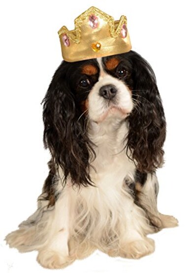 Rubies Gold Tiara with Pink Stones Pet Costume Accessory SmallMedium
