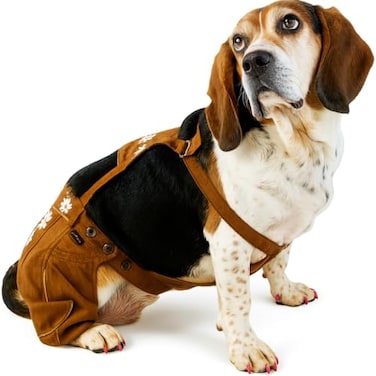 EINSZWEIDOG Oktoberfest German Dog Lederhosen Multiple Sizes 8XL Brown
