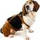 EINSZWEIDOG Oktoberfest German Dog Lederhosen Multiple Sizes 8XL Brown