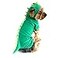 NACOCO Dog Dinosaur Design Costume Green Pet Clothes for Medium Large Dog Green M