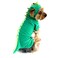 NACOCO Dog Dinosaur Design Costume Green Pet Clothes for Medium Large Dog Green M