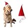 Wiz BBQT Adjustable 3D Christmas Santa Hat for Dogs Cats Large