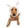 Zoo Snoods Bunny Costume Knit Easter Dog Snood Ear Wrap for Pets Warm Neck Cover for Halloween and Winter Large