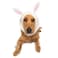 Zoo Snoods Bunny Costume Knit Easter Dog Snood Ear Wrap for Pets Warm Neck Cover for Halloween and Winter Large
