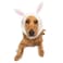 Zoo Snoods Bunny Costume Knit Easter Dog Snood Ear Wrap for Pets Warm Neck Cover for Halloween and Winter Large