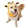 Zoo Snoods Giraffe Costume Knit Dog Snood Ear Wrap for Pets Warm Neck Cover for Halloween and Winter Medium