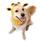 Zoo Snoods Giraffe Costume Knit Dog Snood Ear Wrap for Pets Warm Neck Cover for Halloween and Winter Medium