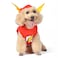 DC Comics Superhero The Flash Halloween Dog Costume Officially Licensed Halloween Pet Costumes for Dogs Size Large