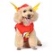 DC Comics Superhero The Flash Halloween Dog Costume Officially Licensed Halloween Pet Costumes for Dogs Size Large