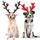 Rypet 2 PCS Christmas Reindeer Antler Headband with Ears for Medium and Large Dogs