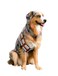 ComfyCamper Utility Belt Dog Halloween Costume Adjustable X Large Medium Small French Lab Cosplay Christmas 2024 XLarge