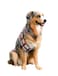 ComfyCamper Utility Belt Dog Halloween Costume Adjustable X Large Medium Small French Lab Cosplay Christmas 2024 Medium