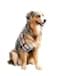 ComfyCamper Utility Belt Dog Halloween Costume Adjustable X Large Medium Small French Lab Cosplay Christmas 2024 Large