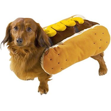 Casual Canine Hot Diggity Dog with Mustard Costume for Dogs 12 Small