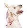 Midlee Dog Unicorn Horn Headband Halloween Costume Large