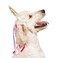 Midlee Dog Unicorn Horn Headband Halloween Costume Large