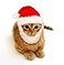 Prymal Comfort Santa Dog Cat Costume