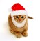 Prymal Comfort Santa Dog Cat Costume