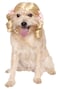 Rubies Cheerleader Pet Wig for Dogs or Cats SM