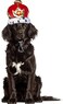 Rubies King Pet Crown for Dogs or Cats ML
