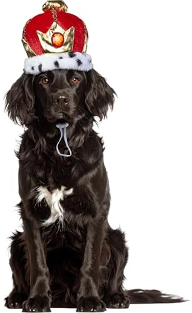 Rubies King Pet Crown for Dogs or Cats ML