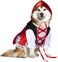 Rubies Red Riding Hood Pet Costume for Dogs or Cats XL