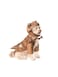 Rubies Jurassic World TRex Pet Costume for For Dogs or Cats by Large