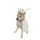 ComfyCamper Dog Ghost Costume X Large Medium Small French Lab Night Lab Cosplay Halloween Christmas Costumes Large