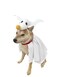 ComfyCamper Dog Ghost Costume X Large Medium Small French Lab Night Lab Cosplay Halloween Christmas Costumes Large