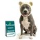 FurHaven Flexible Fit Costume HatPolar Bear Cream Medium