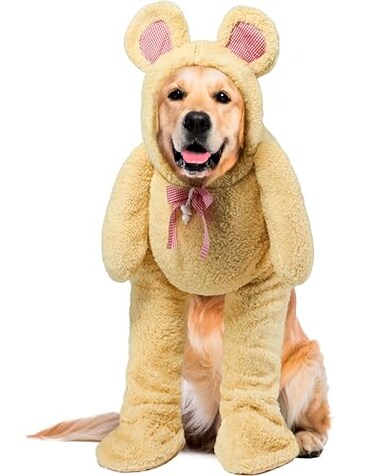 Rubies Walking Teddy Bear Pet Costume for Dogs or Cats Large